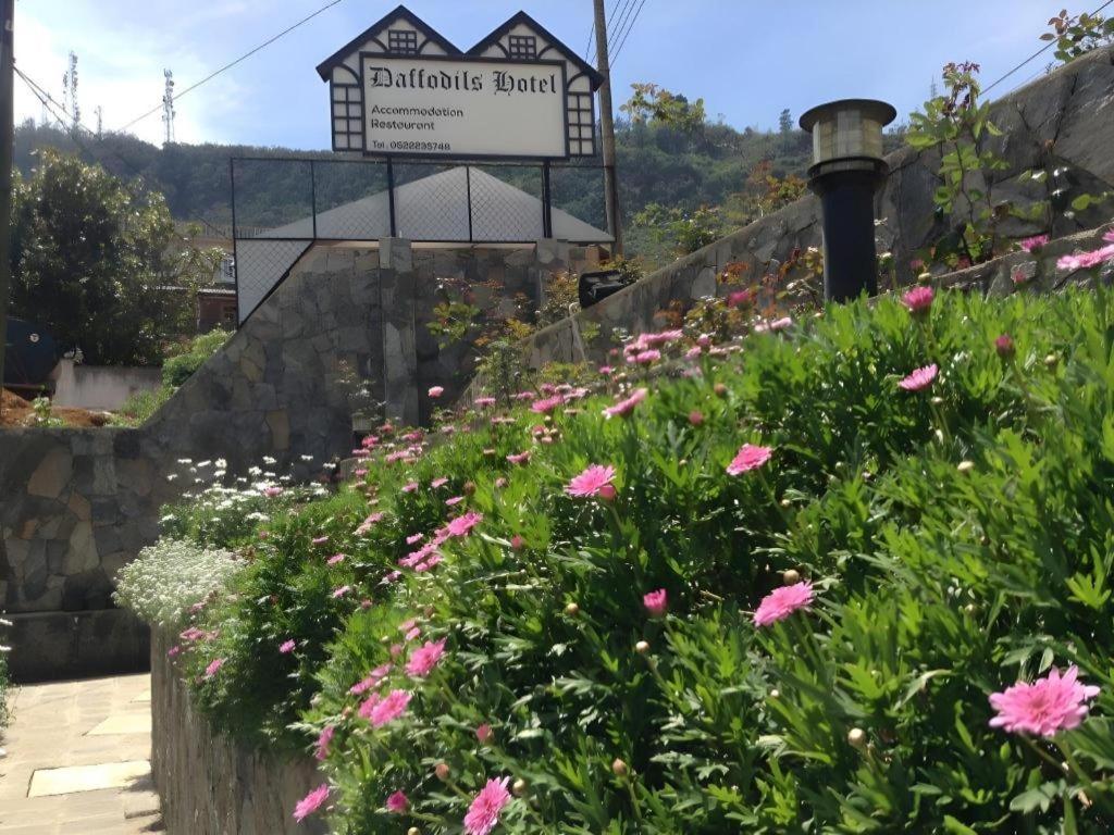Daffodil'S Hotel Nuwara Eliya Luaran gambar