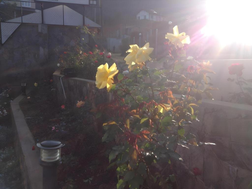 Daffodil'S Hotel Nuwara Eliya Luaran gambar