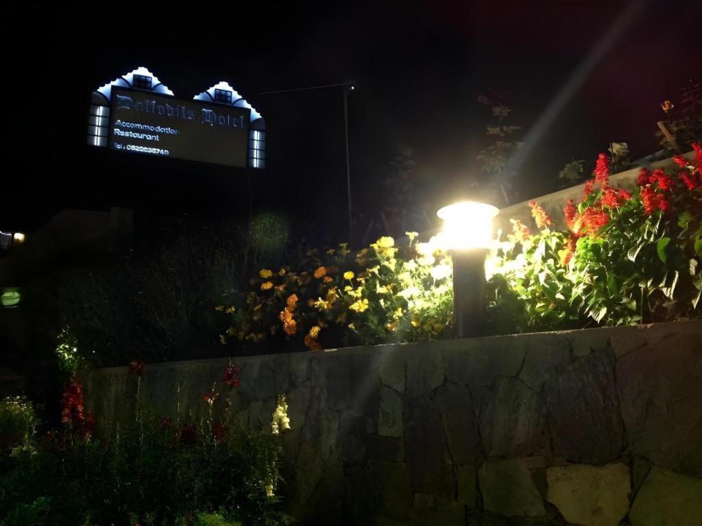 Daffodil'S Hotel Nuwara Eliya Luaran gambar