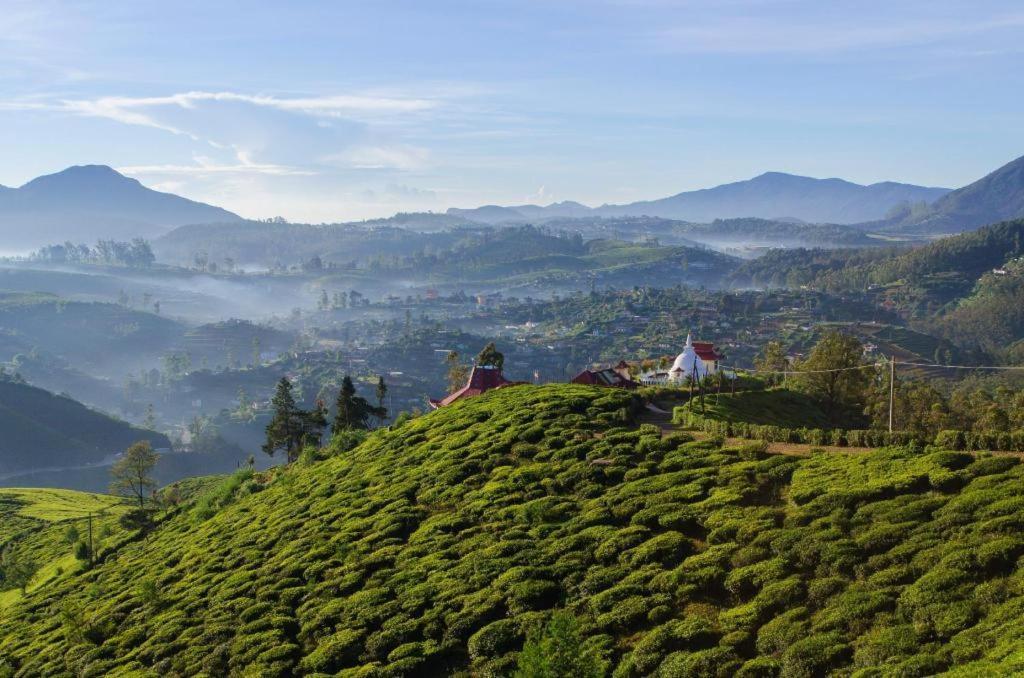 Daffodil'S Hotel Nuwara Eliya Luaran gambar
